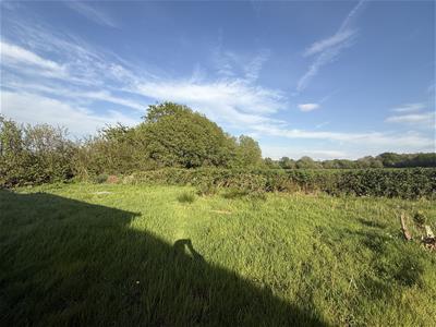 Picture 18